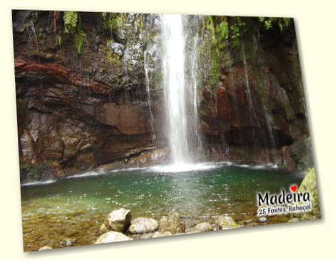 25 Fontes / 25 Sources - Madeira postcard