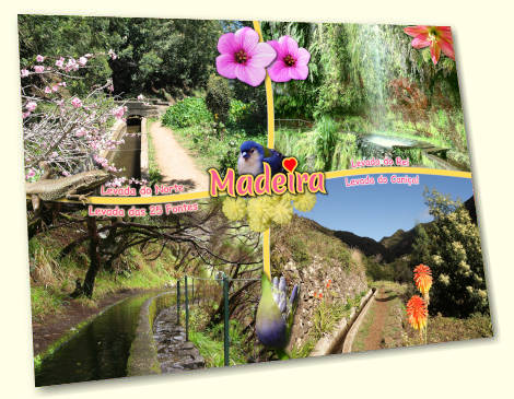Levadas - Madeira postcard