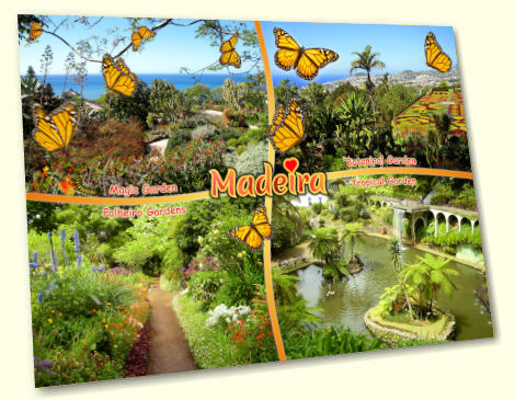 Gardens - Madeira postcard