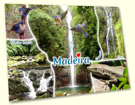 Sources - Madeira postcard